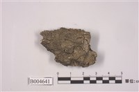 藏品(地衣)的圖片